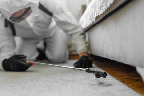 Professional Pest Control technician working in Monroe County County, TN